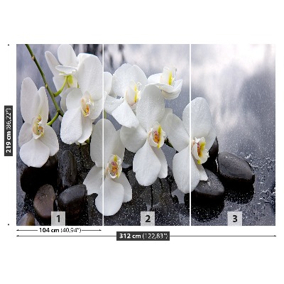 Fototapeta Orchidei Kamienie