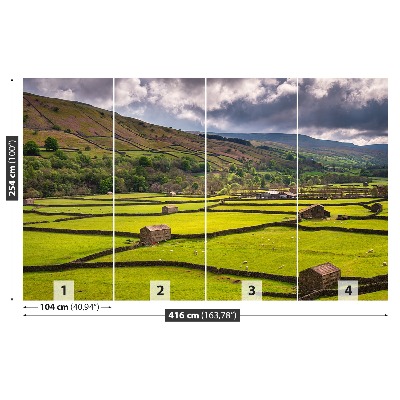 Fototapeta Pole Yorkshire