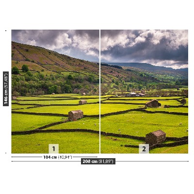 Fototapeta Pole Yorkshire