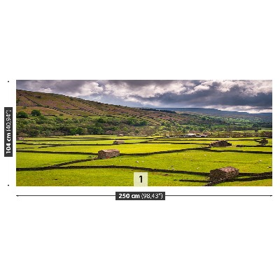 Fototapeta Pole Yorkshire