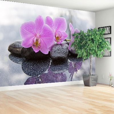 Fototapeta Orchidea Kamienie