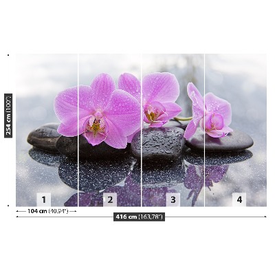 Fototapeta Orchidea Kamienie