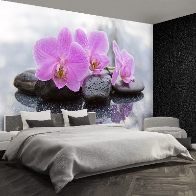 Fototapeta Orchidea Kamienie