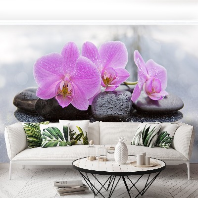 Fototapeta Orchidea Kamienie