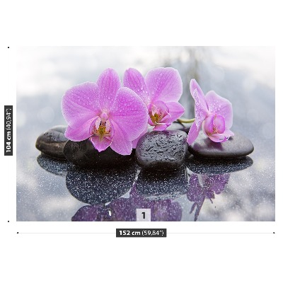 Fototapeta Orchidea Kamienie