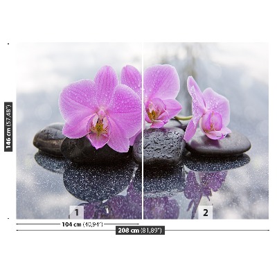 Fototapeta Orchidea Kamienie