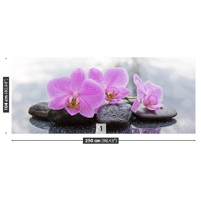 Fototapeta Orchidea Kamienie