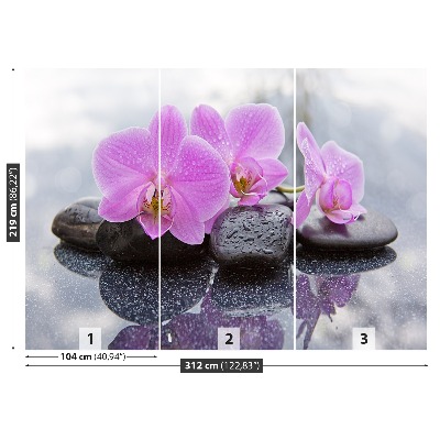 Fototapeta Orchidea Kamienie