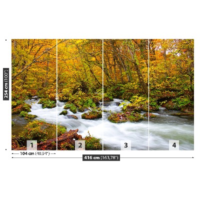 Fototapeta Rzeka w Japonii