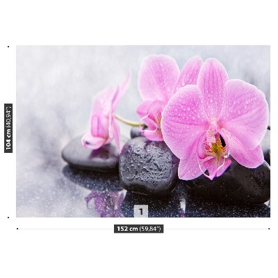 Fototapeta Orchidea Kamienie