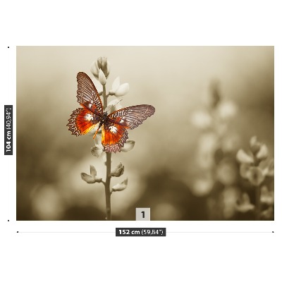 Fototapeta Motyl Kwiaty