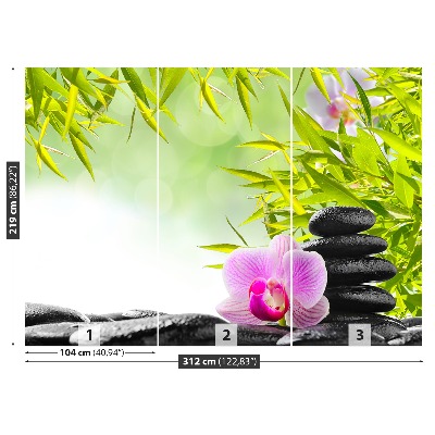 Fototapeta Bambus i Orchidea