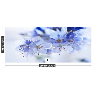 Fototapeta Niebieskie kwiaty