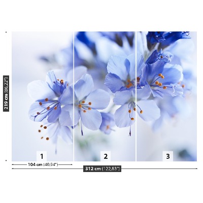 Fototapeta Niebieskie kwiaty