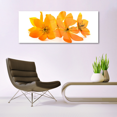 Obraz Akrylowy Pomarańczowe Roślina Kwiaty