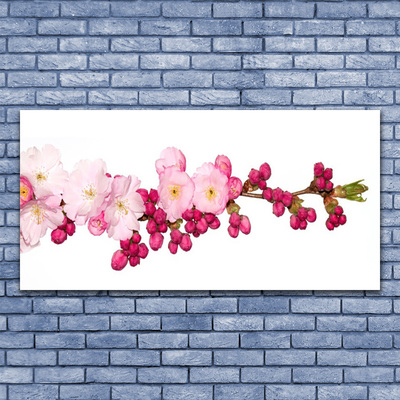 Obraz Akrylowy Kwiat Wiśni Gałązka