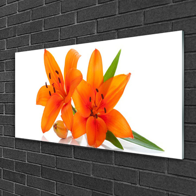 Obraz Akrylowy Pomarańczowe Roślina Kwiaty