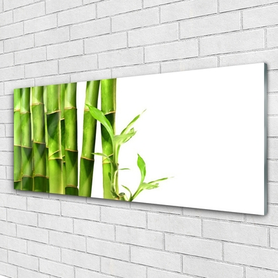 Obraz Akrylowy Bambus Roślina