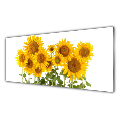 Obraz Akrylowy Roślina Słoneczniki