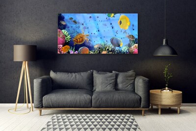 Obraz Akrylowy Rafa Koralowa Ryba Natura