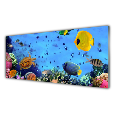 Obraz Akrylowy Rafa Koralowa Ryba Natura