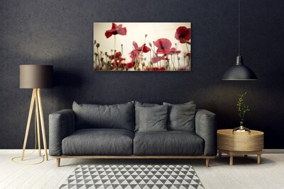 Obraz Akrylowy Maki Kwiaty