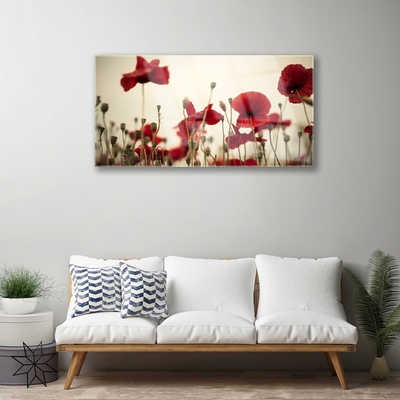 Obraz Akrylowy Maki Kwiaty