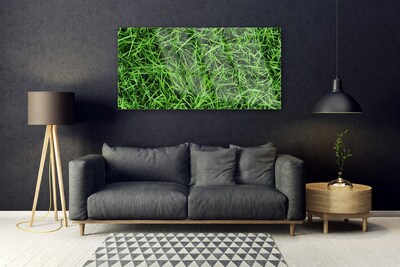 Obraz Akrylowy Trawa Trawnik