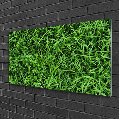 Obraz Akrylowy Trawa Trawnik