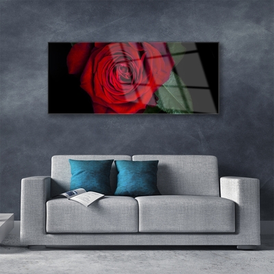 Obraz Akrylowy Róża Na Ścianę