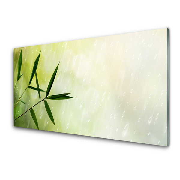 Obraz Akrylowy Liście Deszcz