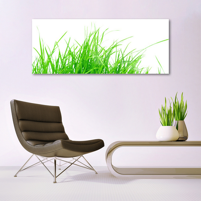 Obraz Akrylowy Trawa Roślina