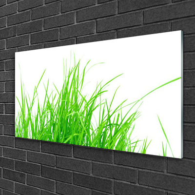 Obraz Akrylowy Trawa Roślina