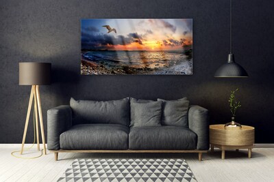 Obraz Akrylowy Mewa Morze Plaża Krajobraz