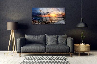 Obraz Akrylowy Mewa Morze Plaża Krajobraz