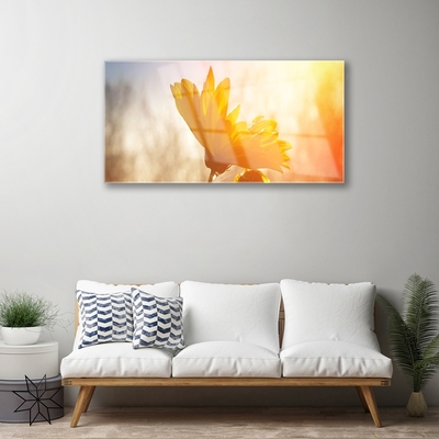 Obraz Akrylowy Słonecznik