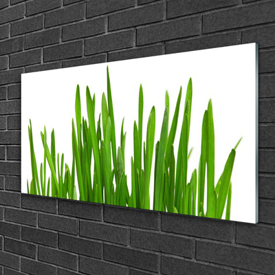 Obraz Akrylowy Trawa Na Ścianę