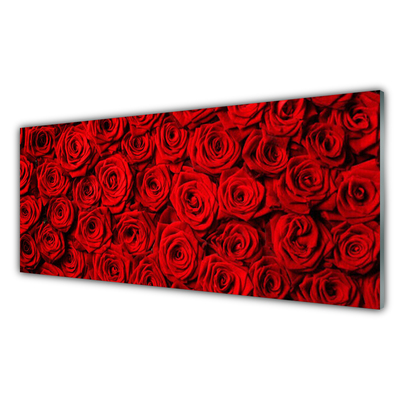Obraz Akrylowy Róże Na Ścianę