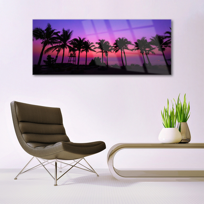 Obraz Akrylowy Palmy Drzewa Krajobraz