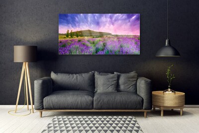 Obraz Akrylowy Łąka Kwiaty Góry Natura