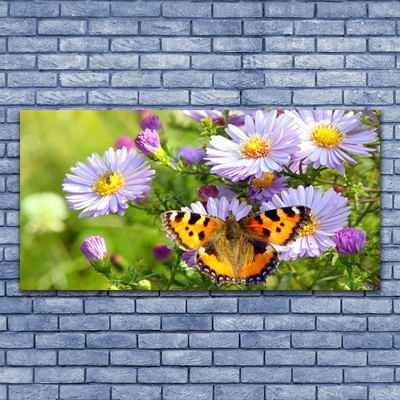 Obraz Akrylowy Kwiaty Motyl Roślina Natura