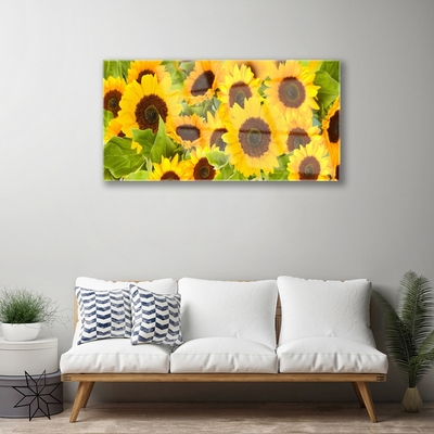 Obraz Akrylowy Roślina Słoneczniki