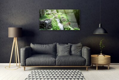 Obraz Akrylowy Potok Trawy Natura Roślina