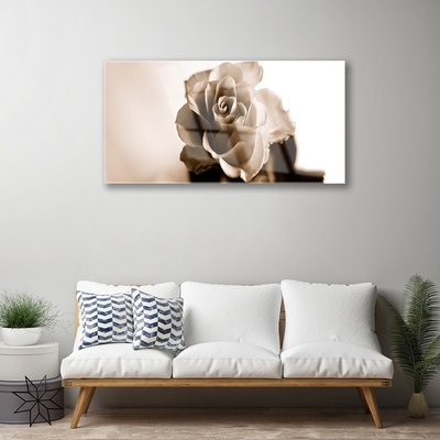 Obraz Akrylowy Róża Kwiat Roślina