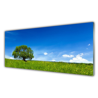 Obraz Akrylowy Trawa Drzewo Natura