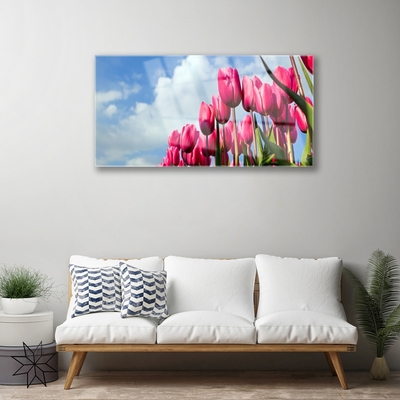 Obraz Akrylowy Tulipan Na Ścianę