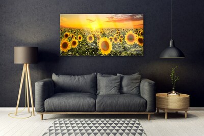 Obraz Akrylowy Słoneczniki