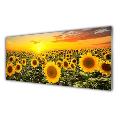 Obraz Akrylowy Słoneczniki
