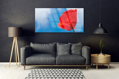 Obraz Akrylowy Tulipan Na Ścianę