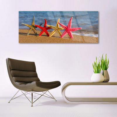 Obraz Akrylowy Plaża Rozgwiazda Sztuka